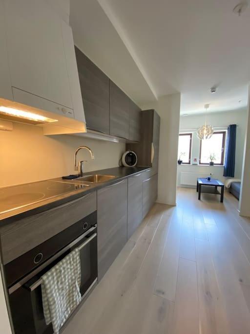 Moderne Leilighet Midt I Sentrum Av Fredrikstad Ngoại thất bức ảnh
