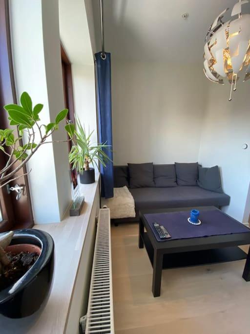 Moderne Leilighet Midt I Sentrum Av Fredrikstad Ngoại thất bức ảnh